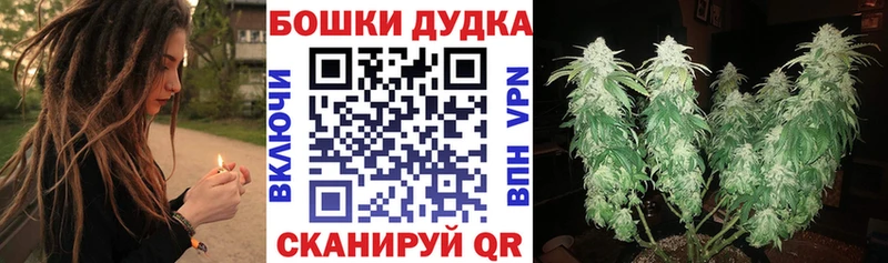 Как найти наркотики Игарка Cocaine  Галлюциногенные грибы  Марихуана 