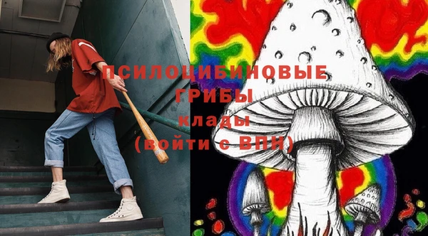 МДПВ Аша