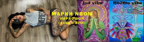 МДПВ Аша