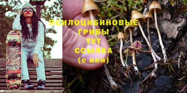 МДПВ Аша