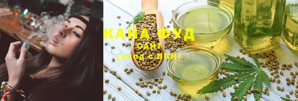 МДПВ Аша