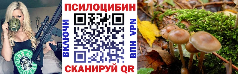 как найти закладки  Игарка  Псилоцибиновые грибы мухоморы 